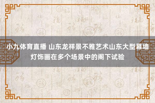 小九体育直播 山东龙祥景不雅艺术山东大型幕墙灯饰画在多个场景中的阁下试验