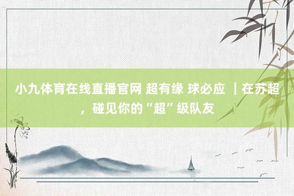 小九体育在线直播官网 超有缘 球必应 ｜在苏超，碰见你的“超”级队友