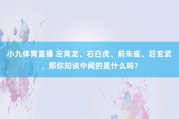 小九体育直播 左青龙、右白虎、前朱雀、后玄武，那你知谈中间的是什么吗？