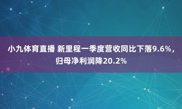 小九体育直播 新里程一季度营收同比下落9.6%，归母净利润降20.2%
