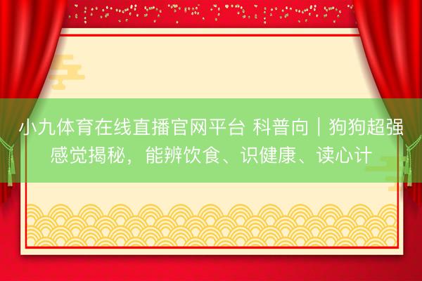 小九体育在线直播官网平台 科普向｜狗狗超强感觉揭秘，能辨饮食、识健康、读心计