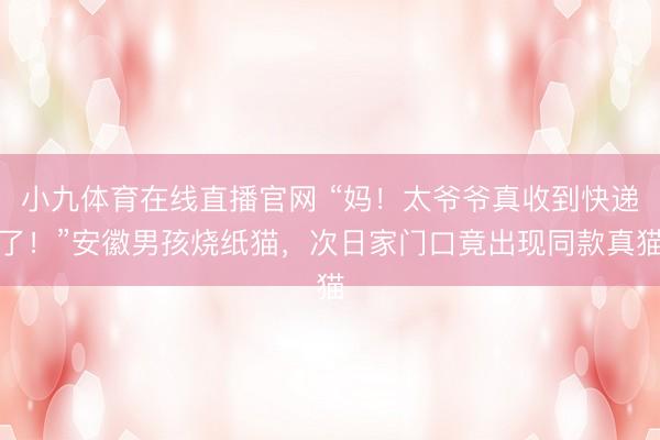 小九体育在线直播官网 “妈！太爷爷真收到快递了！”安徽男孩烧纸猫，次日家门口竟出现同款真猫