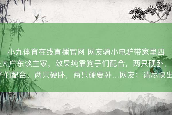 小九体育在线直播官网 网友骑小电驴带家里四只狗子外出玩，以为是大户东谈主家，效果纯靠狗子们配合，两只硬卧，两只硬要卧…网友：请尽快出台！