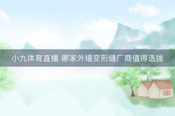小九体育直播 哪家外墙变形缝厂商值得选拔